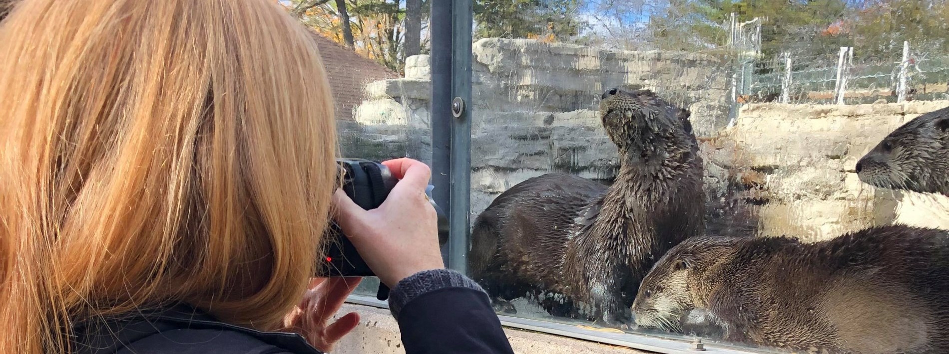 Ash Naylor taking picture of otter