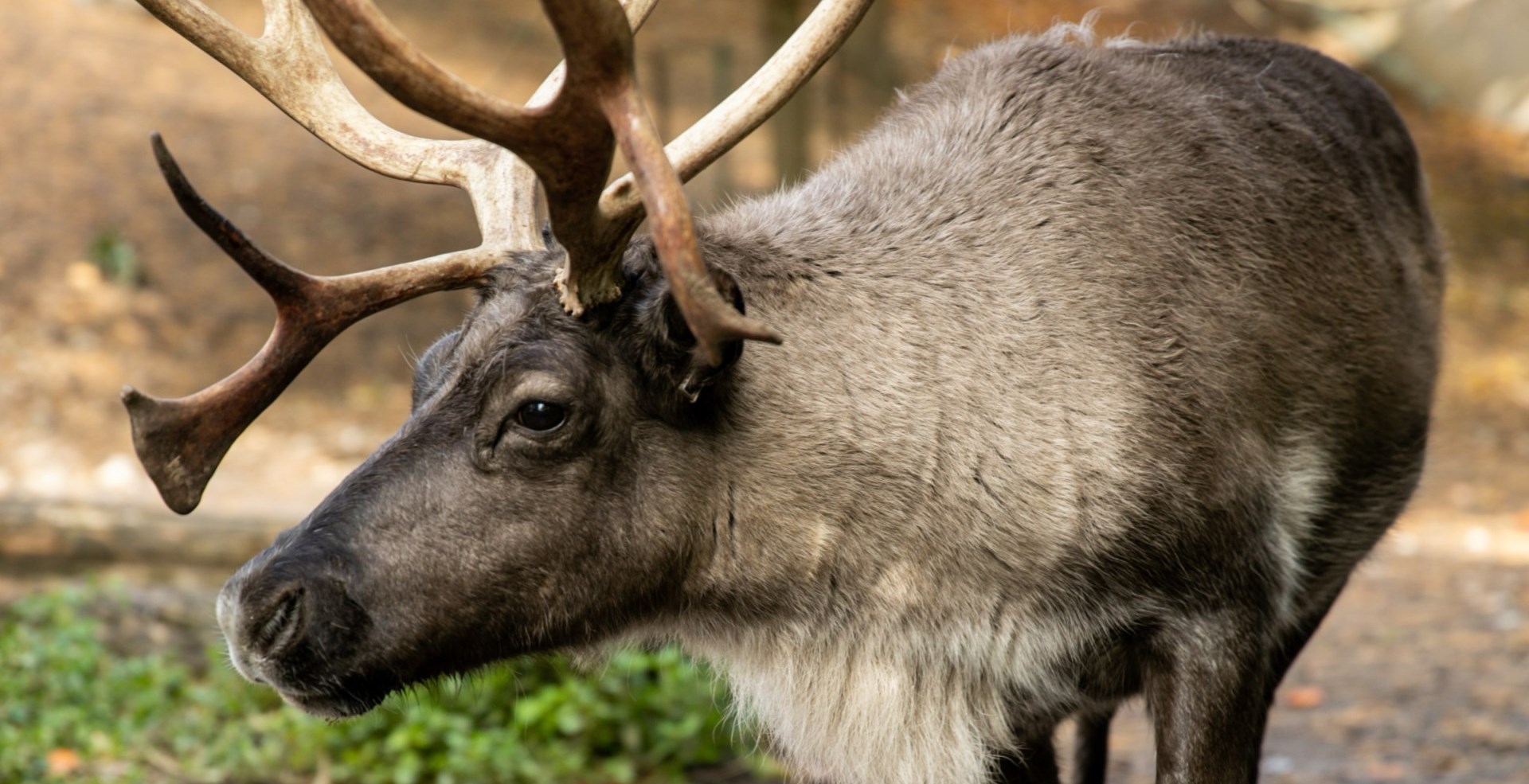 Fall is the perfect time to visit the zoo!