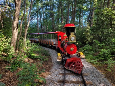 miniature train on the tracks in the woods