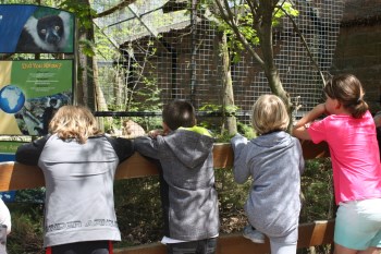 Kids looking inside an animal exhibit at the zoo